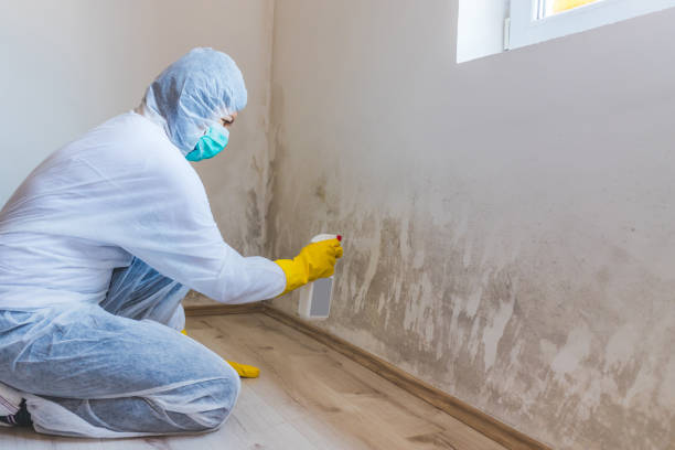 Commercial Mold Remediation assessment for commercial property in Peoria